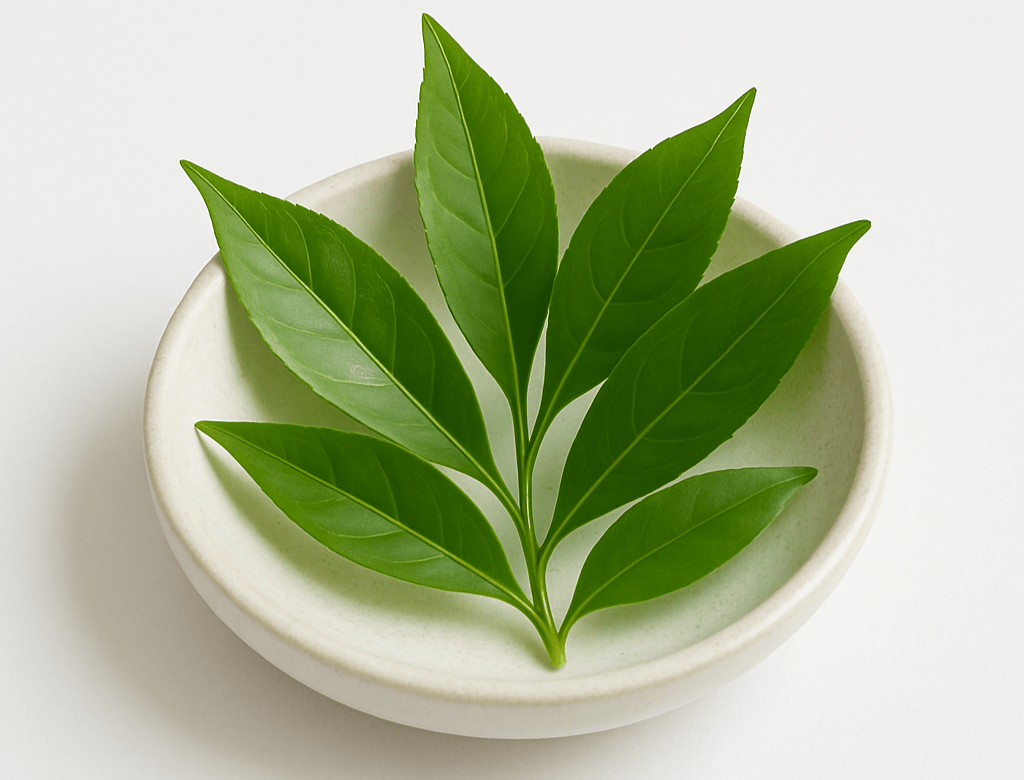 Green leaves on a white ceramic plate with a white background